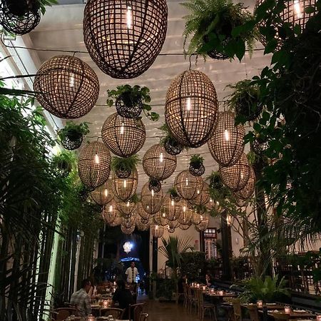 מלון מקסיקו סיטי Galanga Thai House מראה חיצוני תמונה